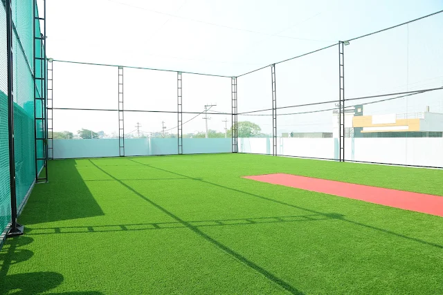 Turf photo 7