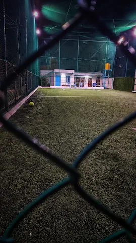Turf photo 4