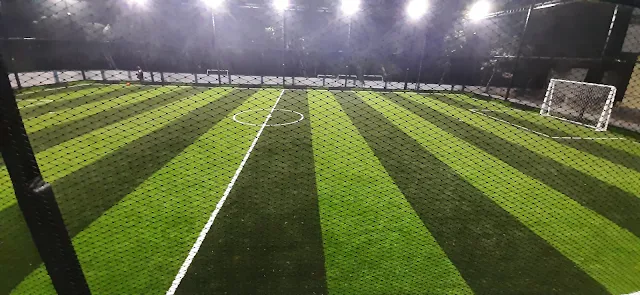 TNS Turf