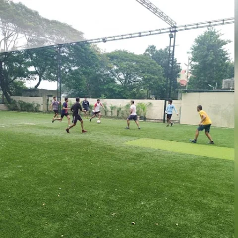 Turf main photo
