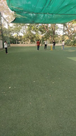 Turf photo 11