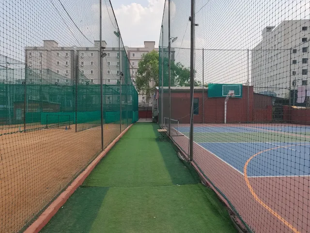Turf main photo