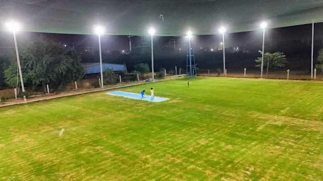 Turf photo 6