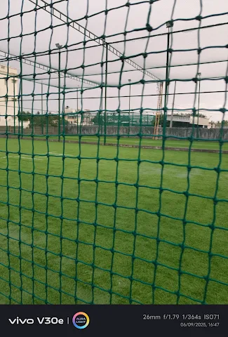 Turf photo 2