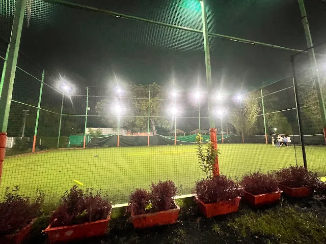 Turf photo 2