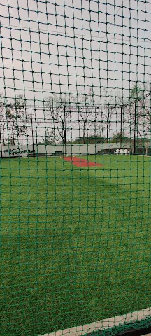 Turf photo 2