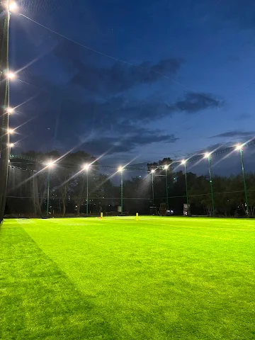 Turf photo 2