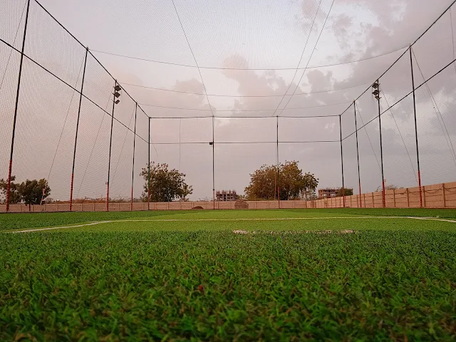 Turf photo 7