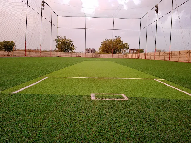 Turf photo 8