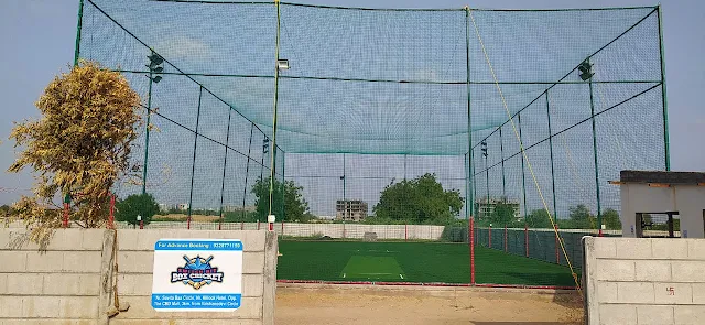 Switch Hit Box Cricket