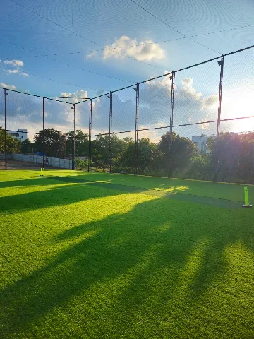 Turf photo 6