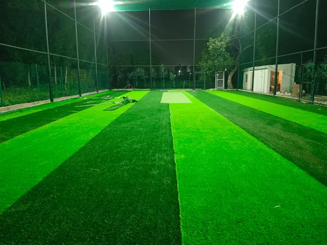 Turf 1