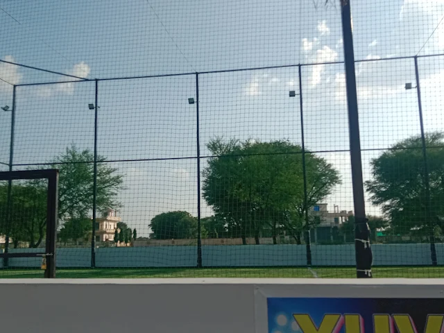 Turf photo 4