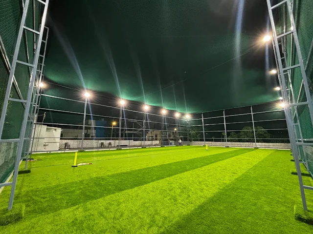 Turf photo 2