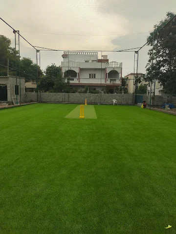Turf photo 4