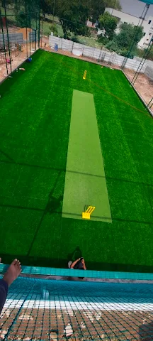 Turf photo 5