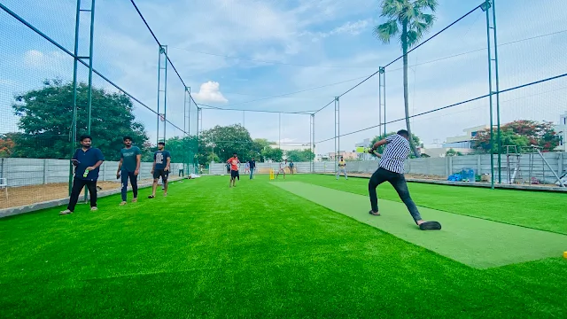 Turf main photo