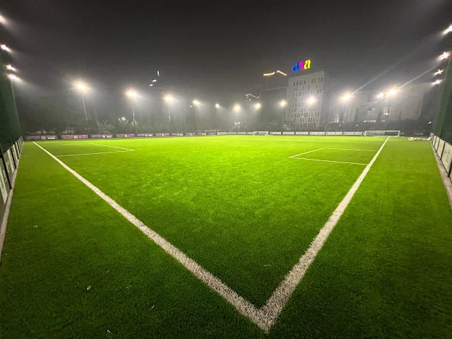 Turf photo 3