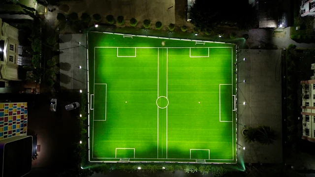 Turf photo 2