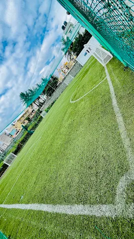 Turf photo 5