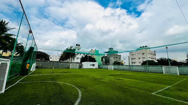 Turf photo 2