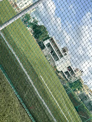 Turf photo 6