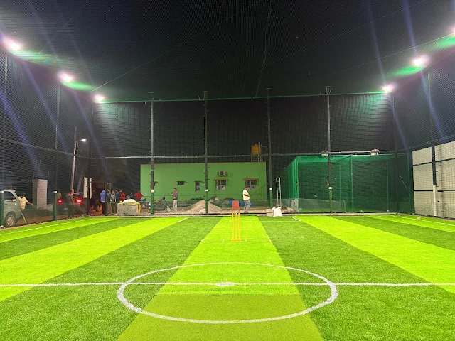 Turf photo 3