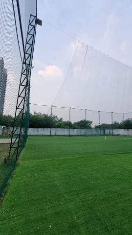Turf photo 2
