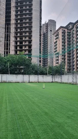 Turf main photo
