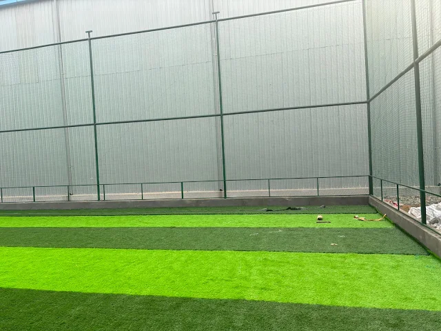 Turf main photo