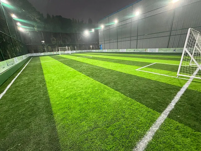 Turf photo 2