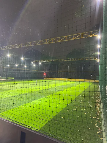 Turf photo 2