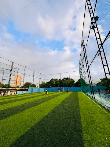 Turf photo 2