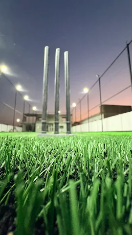 Turf photo 4