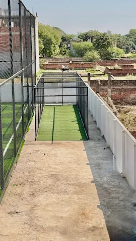 Turf photo 3