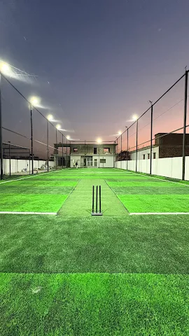 Turf photo 2
