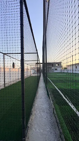 Turf photo 5
