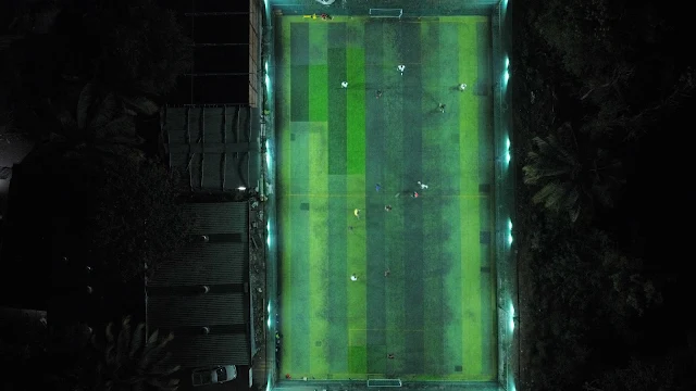 Turf photo 2