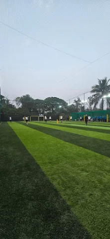 Turf photo 5