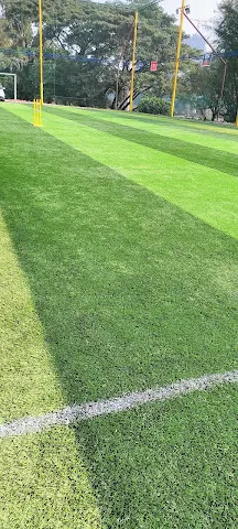 Turf photo 3
