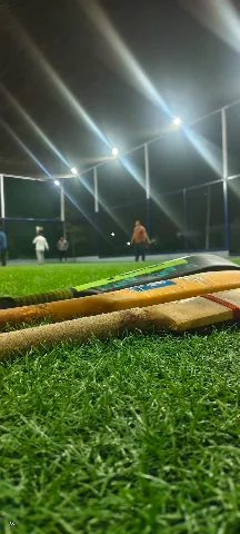 Turf photo 2