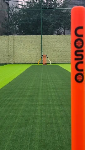 Turf photo 3