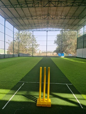 Turf main photo