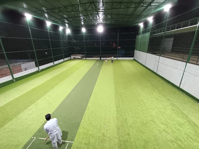 Turf photo 2
