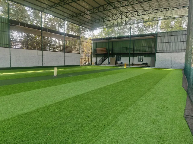 Turf photo 3