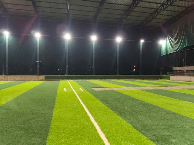 Turf photo 2