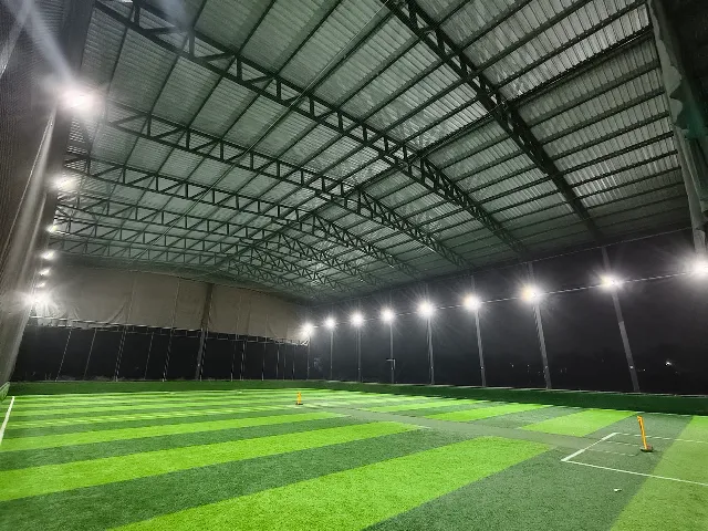 Turf photo 3