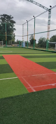 Turf photo 5