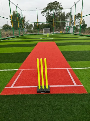 Turf photo 6