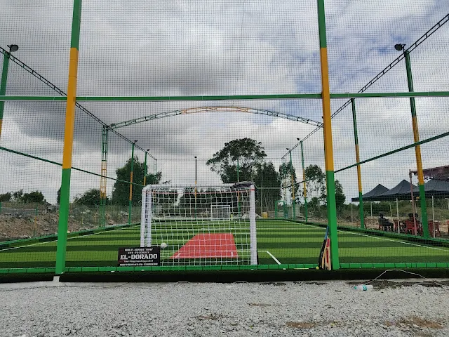 Turf photo 4